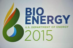 bioenergy-2015