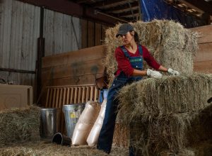 Iconic liberty bib store overalls