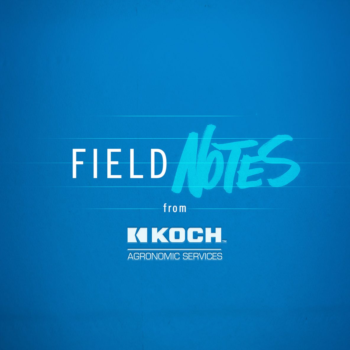 Field Notes from Koch Agronomic Services