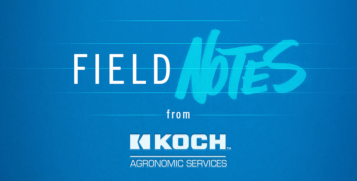 Field Notes from Koch Agronomic Services